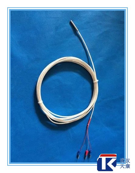 補(bǔ)償導(dǎo)線式熱電阻/WZPT-104、025/pt100熱電阻